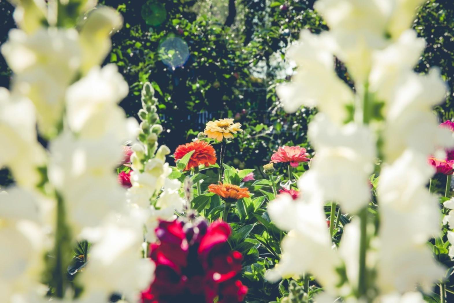 Taze çiçeklerle hazırlanan özel tasarım buket