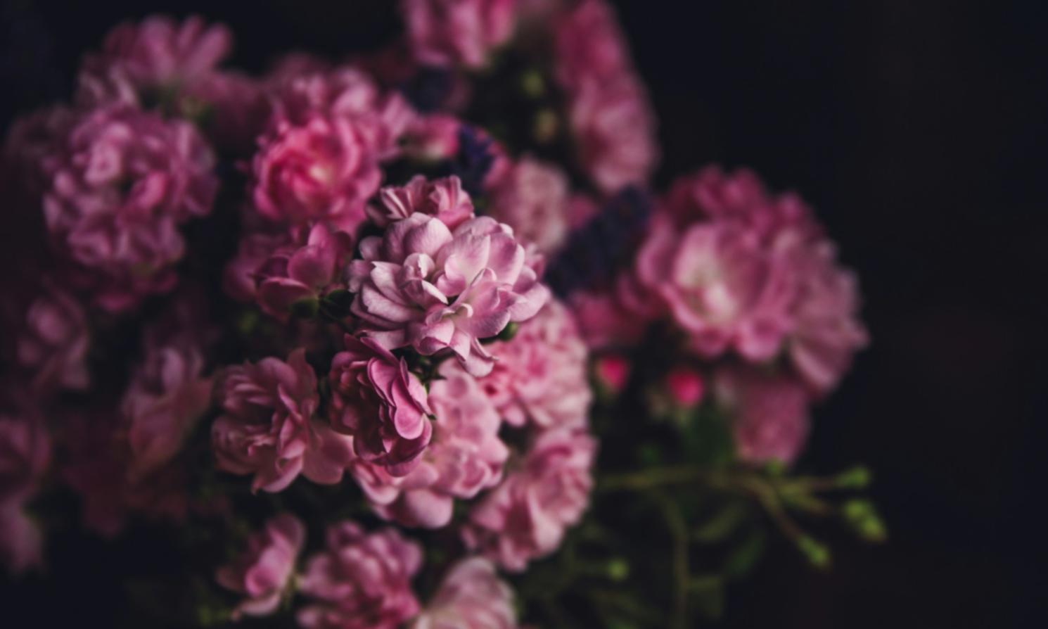 Kayseri'de çiçek dükkânımızın iç görünümü